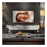 LG OLED AI B5 48" 4K Smart TV