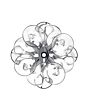 SMZ5300, Glass holder rack