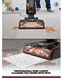 Shark EX220UK CarpetXpert Pet Carpet Cleaner Grey/Burgundy
