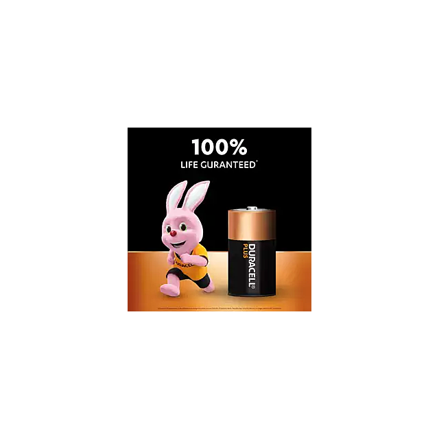 Duracell MN1300 D Cell Batteries 2pk